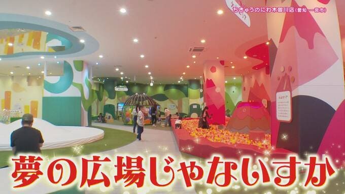 “ネクストブレイク”のハイテク遊具！？大型犬専門ドッグカフェも！雨の日も満喫できる進化系“室内遊び場”とは|TBS NEWS DIG