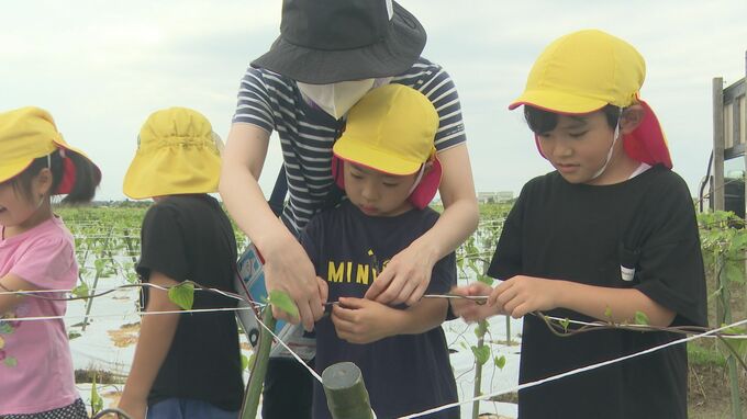 「うまく巻けるかな」園児が加賀丸いものつる巻きを体験|TBS NEWS DIG