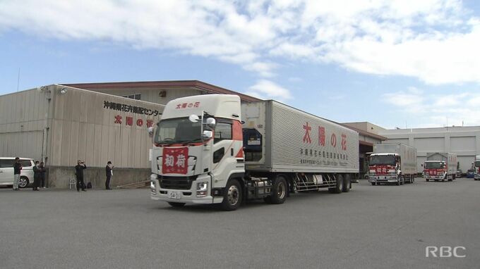 沖縄県産菊　全国へ向け「初荷式」　|　沖縄のニュース｜RBC 琉球放送