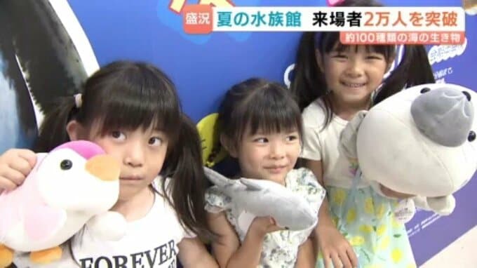 いよてつ高島屋の「おもしろ不思議水族館」来場2万人突破!はとこ3人組に記念ぬいぐるみ贈呈|TBS NEWS DIG