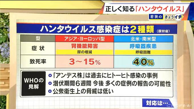 ハンタウイルスって何？｢北米・南米型｣は致死率40%… 特効薬はあるの？感染経路は？専門家に聞く【解説】　|　名古屋・愛知・岐阜・三重のニュース【CBC news】 | CBC web