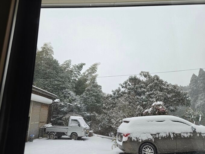 積雪で国道など通行止め　海の便に欠航便|TBS NEWS DIG