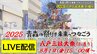 【見逃し配信中！8月1日(金)LIVE】「八戸三社大祭・お通り」巧みな仕掛けで飛び出す！豪華絢爛な山車が市街地を練り歩く～青森の祭りを未来へつなごう2025　|　青森のニュース│ATV NEWS│青森テレビ