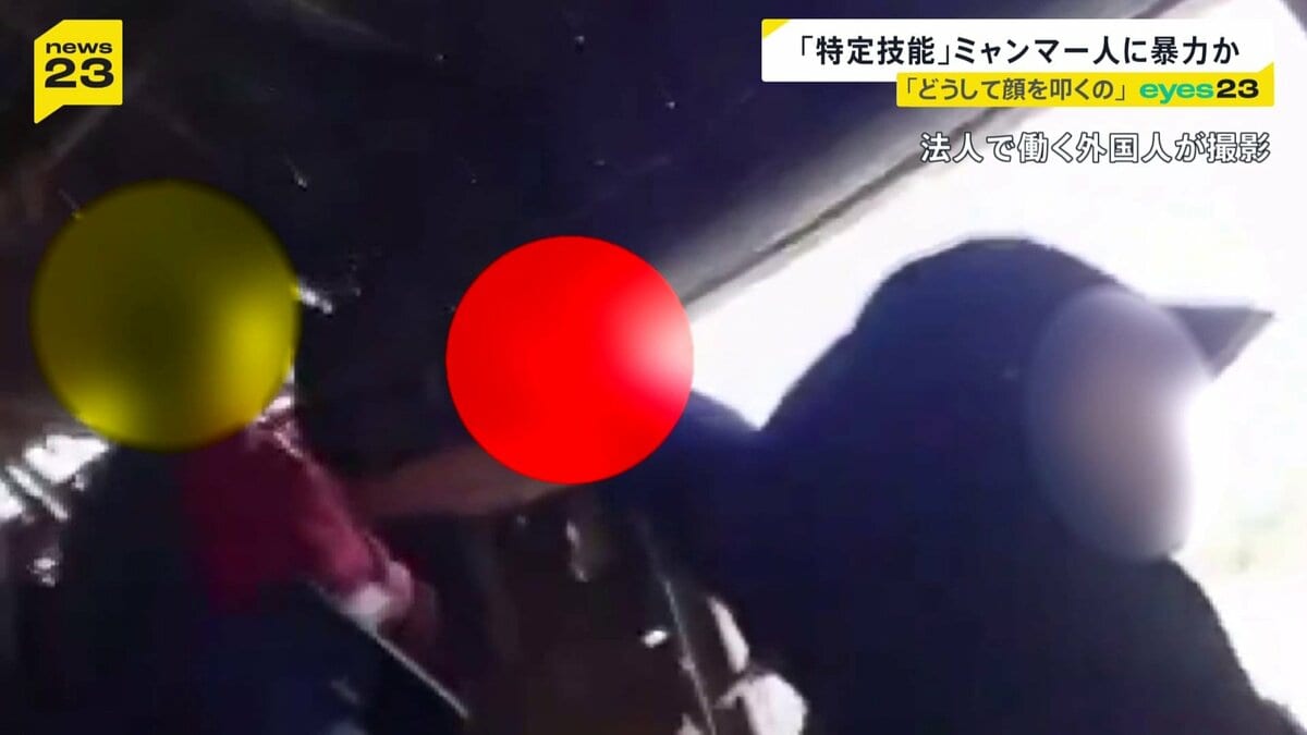 「日本のご主人様は誰だ!」北海道の農場でミャンマー人を棒で叩き…尻・胸触るセクハラか 被害の訴え【news23】