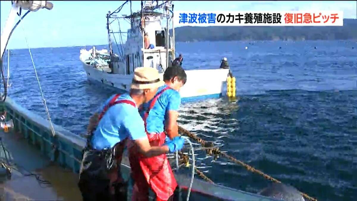 津波でカキ養殖いかだが被害 台風9号接近前に復旧急ピッチ 宮城・石巻