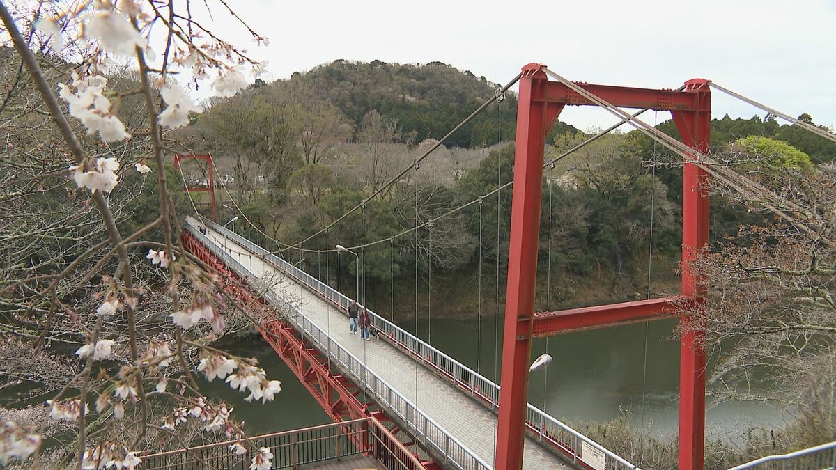 雨不足の東三河 桜の名所で“さくらまつり”始まる トイレは水圧落とし｢必要最低限の利用｣で使用再開 愛知･新城市の桜淵公園