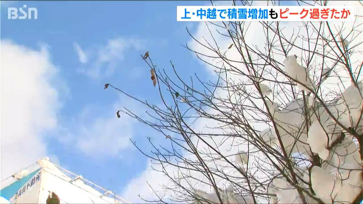 サムネイル_大雪のピーク過ぎるも「毎朝 雪消ししないと駄目なので体中が痛い」今後さらに50cmの予想降雪量 新潟県 中越の山沿い