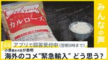 小泉農水大臣 海外からコメを緊急輸入する可能性を表明 あなたはどう思いますか?【news23】|TBS NEWS DIG
