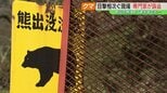 小学校の通学路でも…クマ目撃相次ぐ現場を専門家が調査　福島・郡山市熱海町　|　福島のニュース│TUF