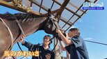 「人馬一体」を体現!未経験から挑む福島明成高校 馬術部の魅力【明日への一歩】|TBS NEWS DIG