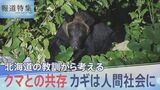 「“ガリガリ”という音が」ヒグマに母を連れていかれ…100年前、クマ襲撃で8人死傷　被害者の生々しい証言テープ【報道特集】|TBS NEWS DIG
