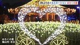 ３年ぶり 冬のイルミネーション　みろくの里（広島･福山市）　|　RCC NEWS | 広島ニュース | RCC中国放送