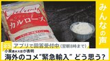 小泉農水大臣 海外からコメを緊急輸入する可能性を表明 あなたはどう思いますか?【news23】|TBS NEWS DIG