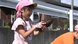 園児たちが果樹園で体験 収穫したサツマイモを見て歓声上がる 盛岡市 | IBC NEWS | IBC岩手放送