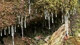 寒の戻り 紫尾山は雪、桜島は冠雪、冷たい風の中「彼岸の入り」 鹿児島 | 鹿児島のニュース|MBC NEWS|南日本放送