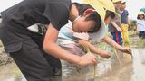 幼稚園児が田植え体験 お米の大切さ学ぶ 大分 | 大分のニュース|OBS NEWS|大分放送