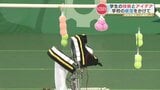 【高専ロボコン九州大会】手作りロボットで“フルーツ狩り”競技 空気でフルーツ落とすなどアイデア満載 全国大会の切符はどの校の手に? | 熊本のニュース|RKK NEWS|RKK熊本放送