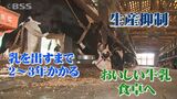 「蛇口をひねれば出るものではない」生乳の「生産抑制」…厳しい経営の中、乳牛を処分しないと決めた酪農家の思い　|　BSSニュース | BSS山陰放送