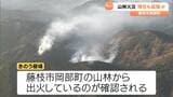 現在も延焼中 藤枝市の山林火災 自衛隊ヘリ出動も鎮圧の見通し立たず=静岡県|TBS NEWS DIG