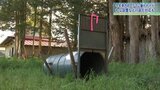今年岩手県内初のクマによる人身被害 山菜採りの夫婦が襲われけが 住宅に出没の紫波町ではわな設置|TBS NEWS DIG