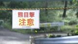 福島市・水林自然林で親子クマ目撃 5日まで臨時休業 隣接の「四季の里」でも目撃 | 福島のニュース│TUF