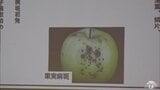 青森のリンゴ栽培　春の作業前に「りんご栽培講座」病害虫の防除など学ぶ　青森県弘前市　|　青森のニュース│ATV NEWS│青森テレビ