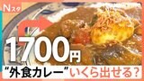 ナン食べ放題のインドカレーや下北沢の行列カレー！物価高の中「外食のカレーにいくらまで出せますか？」【Nスタ】|TBS NEWS DIG