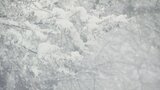 平野部でもまとまった雪、高岡市伏木で7cmの積雪　気象台は交通障害や路面凍結に注意呼びかけ　富山　|　富山のニュース｜天気・防災｜チューリップテレビ