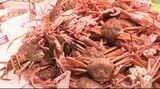 被災地・輪島港のカニが初の水揚げ 近江町市場にも多くの購入客で賑わう|TBS NEWS DIG