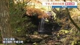 春と秋だけ立ち入れる「マゼノ渓谷」　絶景の紅葉をぜひ！|TBS NEWS DIG
