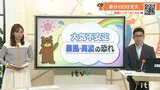 春分の日の20日(水)は荒れた天気に 暴風や警報級の高波のおそれも 【愛媛の天気】 | 愛媛のニュース - Nスタえひめ|あいテレビは6チャンネル