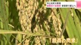 米の出来は“最高”　新嘗祭で天皇陛下に献上する米の収穫　【高知県 中土佐町】|TBS NEWS DIG