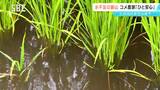 長野県内は久しぶりにまとまった雨「本当にほっとしている」渇水に悩んでいた飯山市のコメ農家は安堵の表情も…本格的な水不足の解消には至らず? | SBC NEWS | 長野のニュース | SBC信越放送