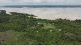 ブラジルのアマゾン、金などの採掘面積が39年間で20倍に 先住民への被害が深刻化|TBS NEWS DIG