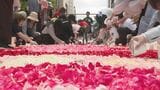 【札幌】過去最大級の巨大な花の絵が登場!「サッポロフラワーカーペット」開幕 4万8000本分の花びらで描くアート | 北海道のニュース|HBC北海道放送