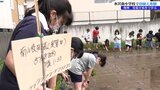 児童たちが田植え体験 地域を支える米作り学ぶ 岩手・奥州市|TBS NEWS DIG