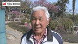 夫婦が15年かけて育てた芝桜が見頃に 耕作放棄地が“花の名所”に【長崎・対馬】 | 長崎のニュース | 天気 | NBC長崎放送