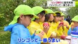 「1番うまい」もぎたてのリンゴにかじりつき笑顔　園児がリンゴ狩り|TBS NEWS DIG