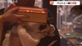 ワン！ダフルな新年に…愛犬と初詣 “金胎寺” でペットの健康祈願　馬頭観世音菩薩に見守られ1年の健康を祈る　富山・射水市　|　富山のニュース｜天気・防災｜チューリップテレビ