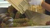 「暑い夏にキリっと冷やして」真夏のワイン 仕込み作業始まる 山梨 | 山梨のニュース | UTYテレビ山梨