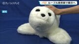 ルーブル美術館で展示へ 富山発のアザラシ型ロボ「パロ」かわいいが持つ力を体現 | 富山のニュース|天気・防災|チューリップテレビ