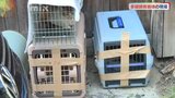 「雌だけ置いていって…」飼い主を説得　ノミ・ダニ…劣悪な猫の多頭飼育崩壊の現場|TBS NEWS DIG