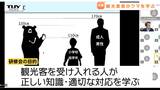 クマに「えさ場として認識させないこと」観光関係者がクマ対策を学ぶ研修会（山形）　|　山形のニュース│TUYテレビユー山形