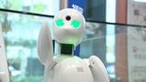 障害者や難病の人も働ける場所を 遠隔操作の「分身ロボット」企業にも拡大 福岡市が実証実験 | 福岡のニュース|RKB NEWS|RKB毎日放送