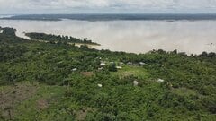 ブラジルのアマゾン、金などの採掘面積が39年間で20倍に　先住民への被害が深刻化| TBS CROSS DIG with Bloomberg