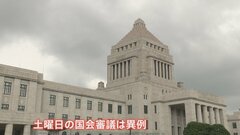 野党提出の“ガソリン減税”法案　異例の土曜日に審議　採決したとしても否決の見通し| TBS CROSS DIG with Bloomberg