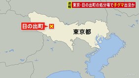 東京・日の出町で「子グマ出没」と複数の通報 警視庁と地元猟友会が確認中 「突進されそうになった」との通報も|TBS NEWS DIG
