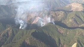 静岡・藤枝市の山林火災　現在も延焼中　ヘリコプターなどによる消火活動続く|TBS NEWS DIG