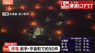 東北電力　停電情報　岩手県平泉町で約90軒　地震の影響で停電　午後8時ごろ復旧見込み| TBS CROSS DIG with Bloomberg