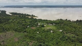 ブラジルのアマゾン、金などの採掘面積が39年間で20倍に　先住民への被害が深刻化| TBS CROSS DIG with Bloomberg